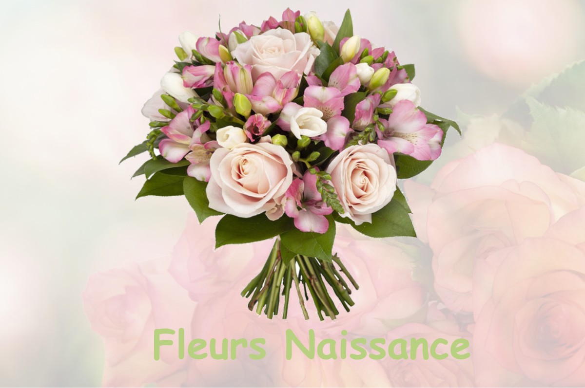 fleurs naissance SAINT-PIERRE-D-ALBIGNY